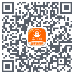 车300Download QR-Code