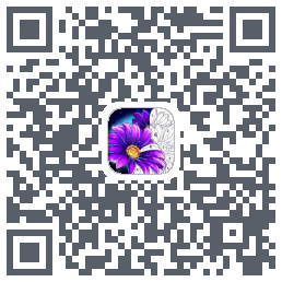 Calm Color QRcode
