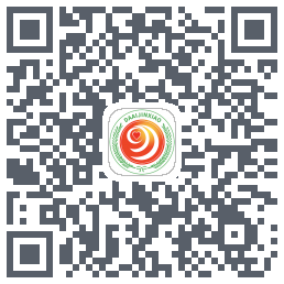 大爱金孝的下載二維碼