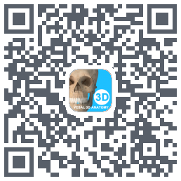 维萨里3D解剖教学的下載二維碼
