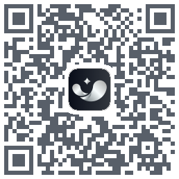 银闪闪 QRcode