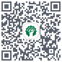 大车队长(测试) QRcode