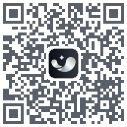 银闪闪 QRcode