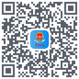 新疆税务 QRcode