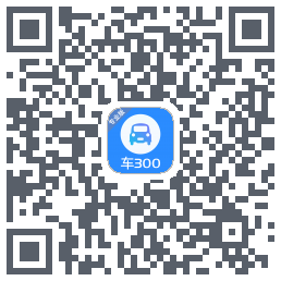 车300专业版 QRcode