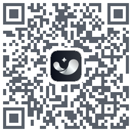银闪闪 QRcode