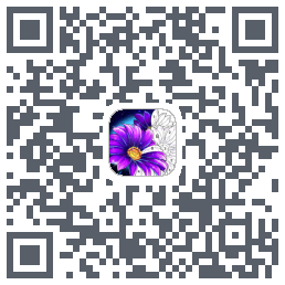 Calm Color QRcode