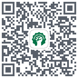 大车队长(测试) QRcode