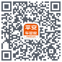 平安车管家test QRcode