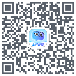 有道小P QRcode