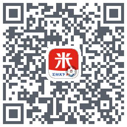 汇来米T QRcode