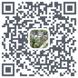 玩安卓 QRcode