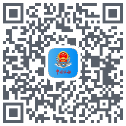 上海税务的下載二維碼