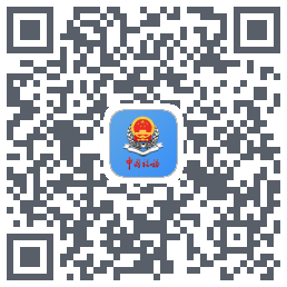 新疆税务 QRcode