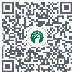 大车队长(测试) QRcode