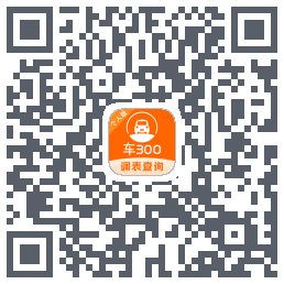 车300 QRcode
