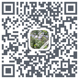 玩安卓 QR-код для загрузки