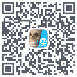 维萨里3D解剖教学รหัส QR สำหรับดาวน์โหลด