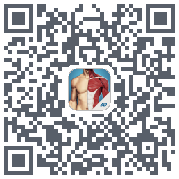 3D透视รหัส QR สำหรับดาวน์โหลด