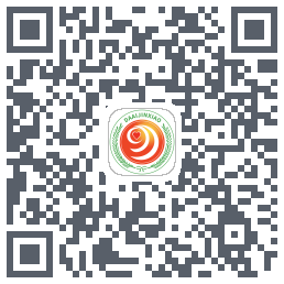 大爱金孝du code QR de téléchargement