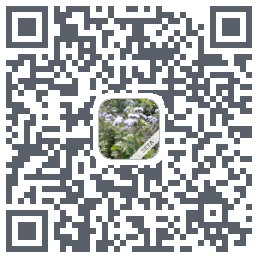 玩安卓 QRcode