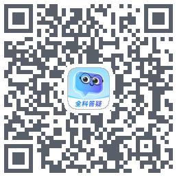 有道小P QRcode