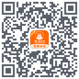 车300codice QR per il download