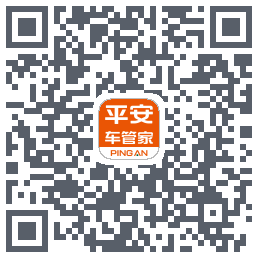 平安车管家test QRcode