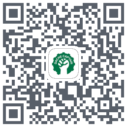 大车队长(测试) QRcode