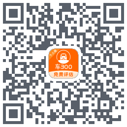 车300codice QR per il download