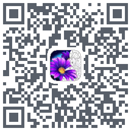 Calm Color QRcode