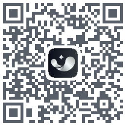 银闪闪 QRcode
