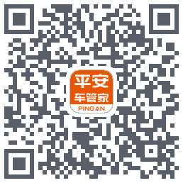 平安车管家test QRcode