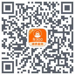 车300codice QR per il download