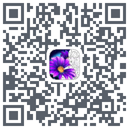 Calm Color QRcode