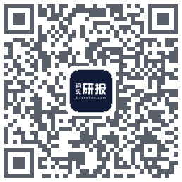 洞见研报 QRcode