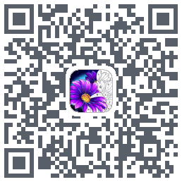 Calm Color QRcode