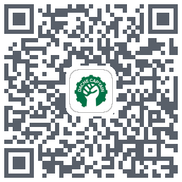 大车队长(测试)的下載二維碼