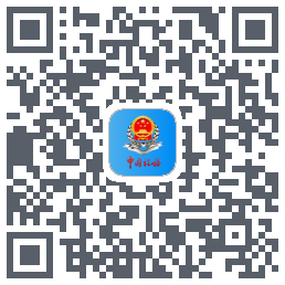 新疆税务 QRcode