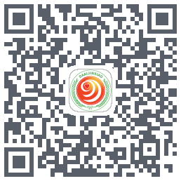 大爱金孝código QR de descarga de
