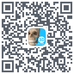 维萨里3D解剖教学的下載二維碼