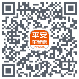 平安车管家test QRcode
