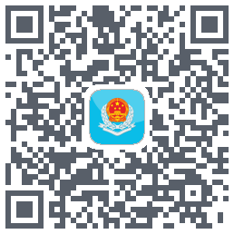 新疆税务 QRcode