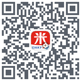 汇来米T QRcode