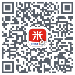 汇来米T QRcode