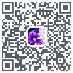 Color Flow QRcode
