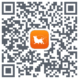 91正式9.3.7 QR-код для загрузки