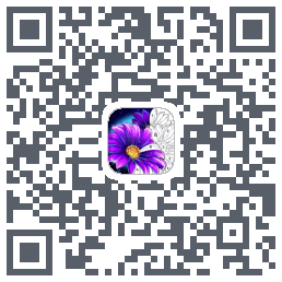 Calm Color QRcode