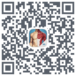 3D透视รหัส QR สำหรับดาวน์โหลด