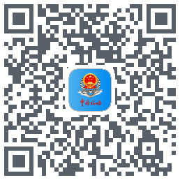 新疆税务 QRcode